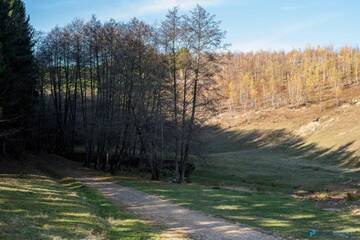 Фотографии Фермерские дома Pensiunea Valea Iazului г. Iaz (Румыния) №2 Фото Фермерские дома Pensiunea Valea Iazului г. Iaz 2